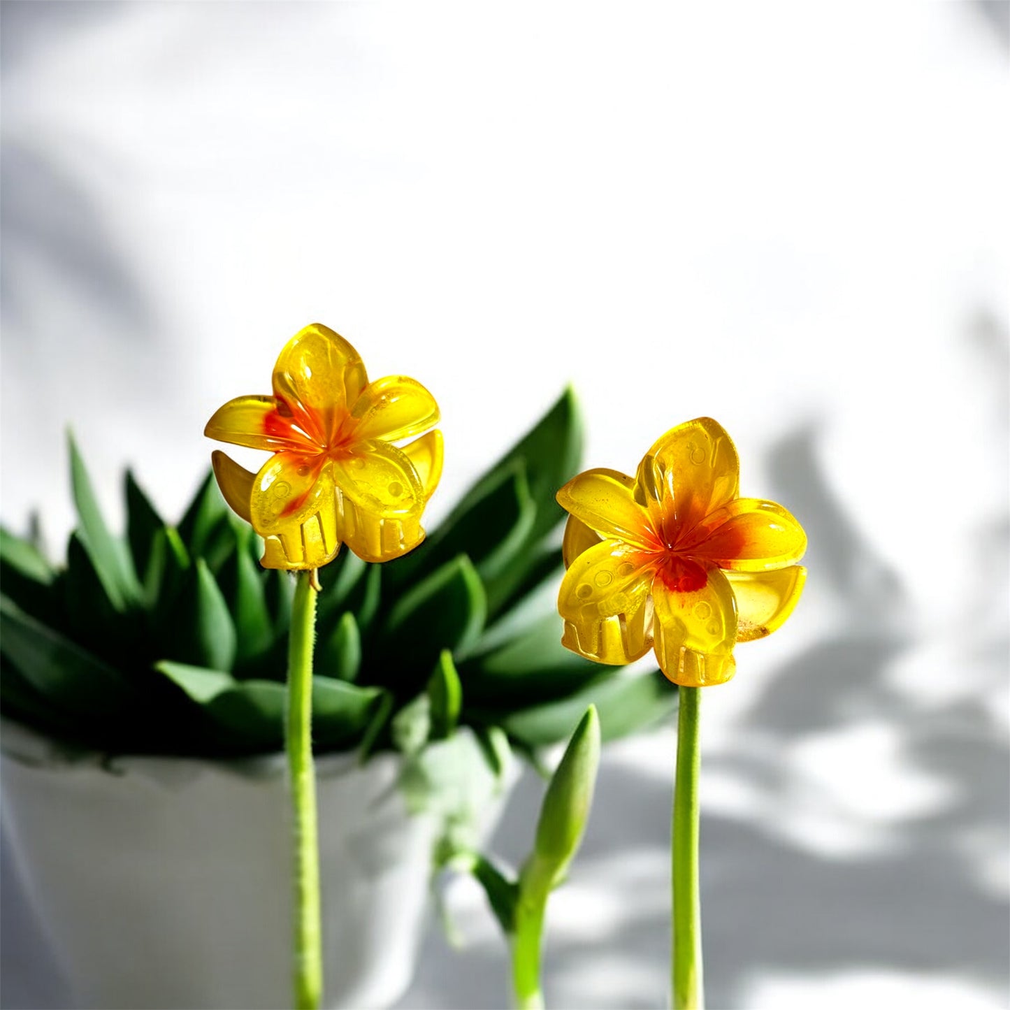 Sunlit Beauty Essentials – Makeup Flat Lay with Floral Touch